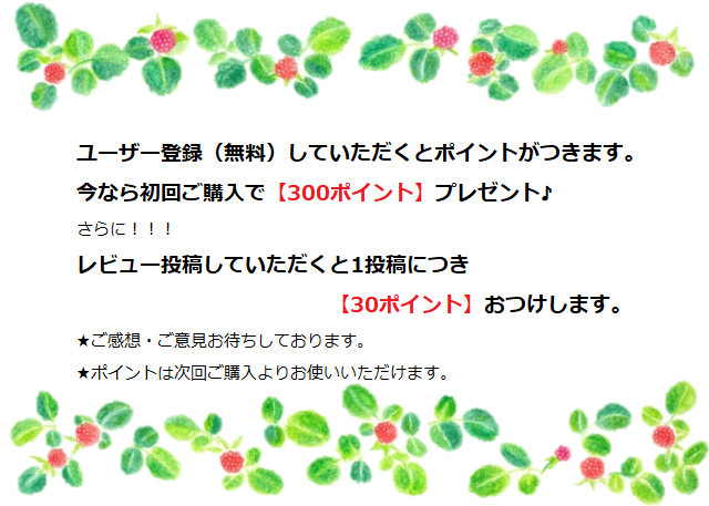 ポイントプレゼント