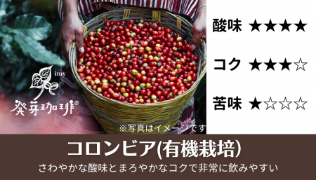 <img class='new_mark_img1' src='https://img.shop-pro.jp/img/new/icons25.gif' style='border:none;display:inline;margin:0px;padding:0px;width:auto;' />ȯꡡӥͭݸѡ