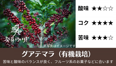 <img class='new_mark_img1' src='https://img.shop-pro.jp/img/new/icons25.gif' style='border:none;display:inline;margin:0px;padding:0px;width:auto;' />ȯꡡƥޥͭݸѡ