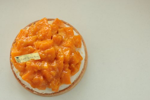 【乳・卵・小麦不使用】Earth Fruit Tart  マンゴーとキャラメル