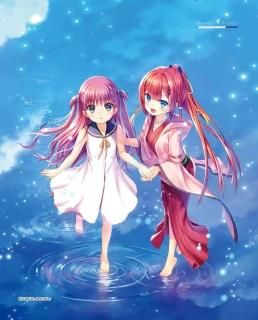 サマーポケッツ しろは＆蒼＆識＆紬 LEDライトパネルセット