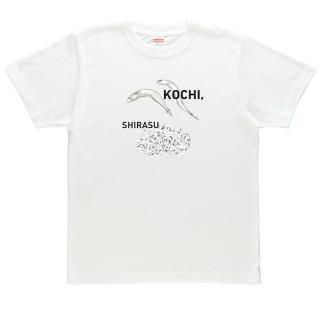<img class='new_mark_img1' src='https://img.shop-pro.jp/img/new/icons5.gif' style='border:none;display:inline;margin:0px;padding:0px;width:auto;' />Tġʥ饹 KOCHI THE GIFT 