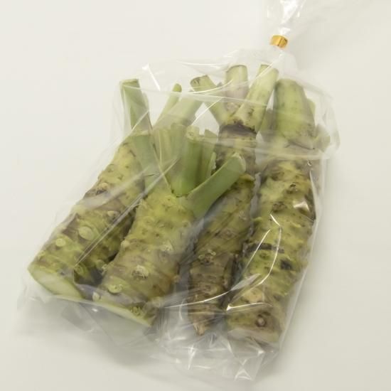 スペシャル特典 わけあり生わさび 4本（約150g以上）｜伊豆のわさび屋山本食品 野菜