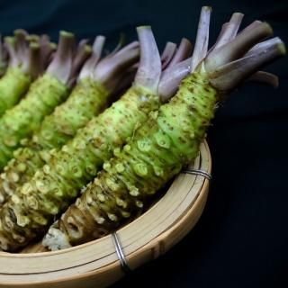 わけあり生わさび10本（約400g以上）｜伊豆のわさび屋山本食品