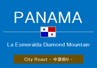 パナマ／エスメラルダ・ダイヤモンドマウンテン（シティロースト・中深煎り）500g