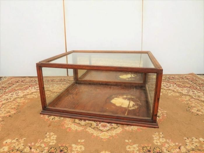 昭和アルミブルーリボン ネオラック 室内用 ガラス温室 NXR-085 植物