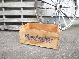 ӥơ Blue Anchor Ȣ