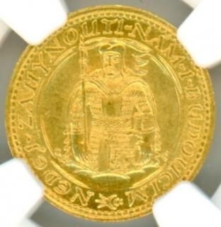 20万円～50万円 - ワタナベコイン ネットショップ