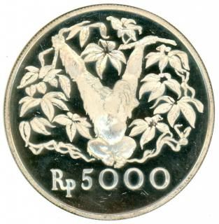 外国銀貨　香港半円銀貨　1902年 imgd052b_600x600_crop_center.