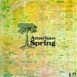 AMERICAN SPRING - SAME[united artists records/italy]'72/12trks.LP 
