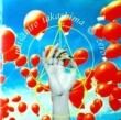  - ZERO[ki/oon sony/Jpn]'94/10trks.CD w/դ 