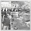 VA (DWIGHT OYERetc) - SUMMER ECHOES [adventure unlimited/us]'77/12trks. LP 