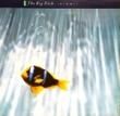 BIG DISH - SWIMMER[virgin/uk]'86/11trks.LP with Insert