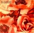 THE SUNDAYS - HERE'S WHERE THE STORY ENDS[rough trade/nz]'90/2trks.7 Inch Promo 