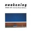 ƣ - AWAKENING[sony music] ltd. press LP  4,000ߡ