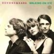 DEVONSQUARE - WALKING ON ICE[atlantic/france]'87/10trks.LP rare later pressing