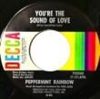 PEPPERMINT RAINBOW - YOU'RE THE SOUND OF LOVE[decca/us]'69/2trks.7 Inch with company slv.