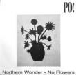 PO! - NORTHERN WONDER[rutland]'94/2trks.7 Inch