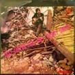 TERRY SMITH - FALL OUT[philips/south africa]'69/8trks.LP 
