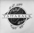 TAMARACK - S/T[parbar/us]'81/9trks.LP 