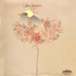 STEVE FELDMAN - SAME[evolution/us]'75/10trks. LP (vg++/vg++) 