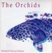 THE ORCHIDS - STRIVING FOR THE LAZY PERFECTION[bring-on-bull]'93/3trks.7 Inch  (ex/ex+) 