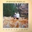 JOE MERCH & CAROL WALLAGE - FORESHADOW[sky hook music]'80/10trks.LP w/Insert *shrink(ex+/ex+)