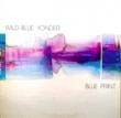 WILD BLUE YONDER - BLUE PRINT[totallyoutofcontrol records/us]'78/10trks.LP gatehold slv. (vg++/ex-)
