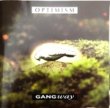 GANGWAY - OPTIMISM[genlyd/ger]'94/13trks.CD  (ex+/ex++) 