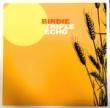 BIRDIE - TRIPLE ECHO[apricot records/ger]'01/12trks.LP (ex+/ex+)