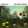 SENALADA - MEJORES AMIGOS[discos de kirlian/spain]8trks.10 Inch + DLդ