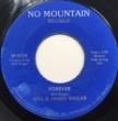 WILL & JAMES RAGAR - FOREVER[no mountain records/us]'7x/2trks.7 Inch *heat damaged side-a(vg-) 