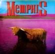 MEMPHIS - YOU SUPPLY THE ROSES[swampland]'85/3trks.12 Inch  (vg++/vg++) 
