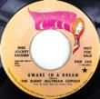 GIANT JELLYBEAN  COPOUT - AWAKE IN A DREAM[poppy records/us]'68/2trks.7 Inch *sample(   /ex-)