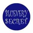 SECRET ITEM 80s_0219 [****/czechoslovakia]'85/14trks.LP (ex-/ex) 