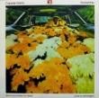 CAPSULE GIANTS/ROCKETSHIP-SPLIT[cardinal records/us]'98/2trks.7 Inch clear vinyl *wobs(vg++/ex)
