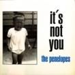 THE PENELOPES - IT'S NOT YOU[elefant records/spain]'94/3trks.7 Inch  (ex/ex)