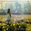  CATHERINE HOWE - WHAT A BEAUTIFUL PLACE[reflection/uk]'71/12trks.LP holygrail original (vg++/ex-)