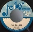 JOE CRUZ AND THE CRUZETTES - FOOL ON THE HILL[joby/philippines]'6x/2trks.7 Inch 