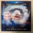 NORMAN COOK FEATURING LESTER - FOR SPACIOUS LIES[go! records]'89/3trks. 7 Inch (ex/ex-) 