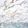 Dylan Mondegreen - The World Spins On[fastcut records] LP+DL (PRE-ORDER/ͽ) 