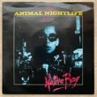 ANIMAL NIGHTLIFE - NATIVE BOY[innervision]'83/2trks.7 Inch (ex+/ex+)