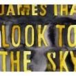 James Iha-Look To The Sky [USMѥ]LP 3,800ߡ 