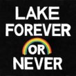 LAKE - FOREVER AND NEVER[tapete/ger]10trks.LP + CDդ  2,500ߡ