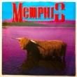 MEMPHIS - YOU SUPPLY THE ROSES[swampland]'85/qtrks.7Inch *label missing(vg++/vg++) 