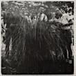 THE LARKS - ALL OR NOTHING GIRL[exaltation records]'86/2trks.7Inch (ex++/m-) 