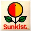 SUNKIST - COME BACK TO YOUR SENSES[sunkist/hol]'6x/2trks.7 Inch (vg+/vg+) 