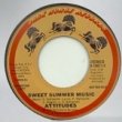 ATTITUDES - SWEET SUMMER MUSIC[dark horse records/us]'76/2trks.7 Inch Promo same flip (ex-)