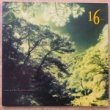 16 TAMBOURINES - HOW GREEN IS YOUR VALLEY？[arista/uk]'89/10trks. LP with Insert (ex/ex) 