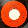 TWILIGHT - ONE SUMMER KISS[cloud 27 records/can]'83/2trks.7 Inch  (ex) 